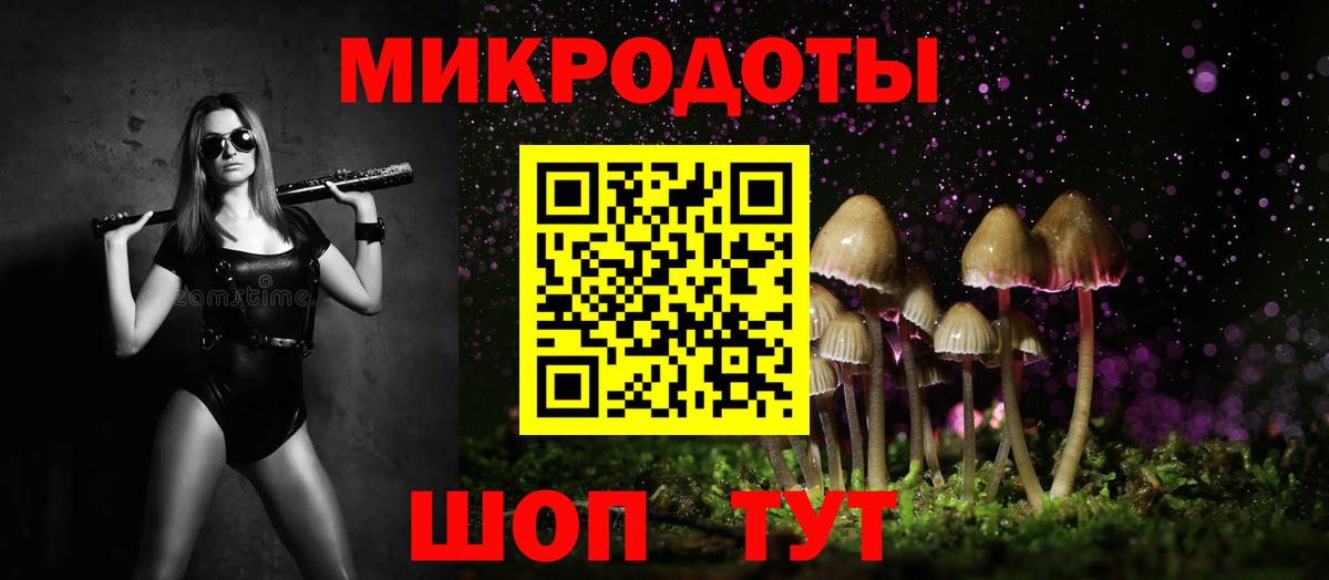 Псилоцибиновые грибы мицелий Ялта