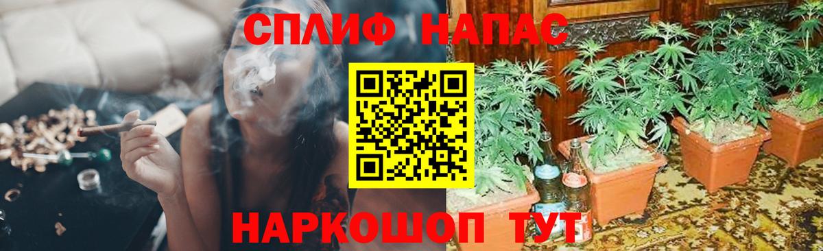 Ялта  Канабис Amnesia  Бошки Шишки конопля  Вход с VPN  Марихуана Bruce Banner 